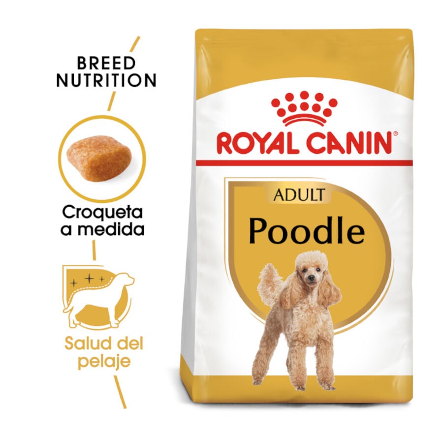 Royal Canin Adult Poodle pienso para perros, , large image number null